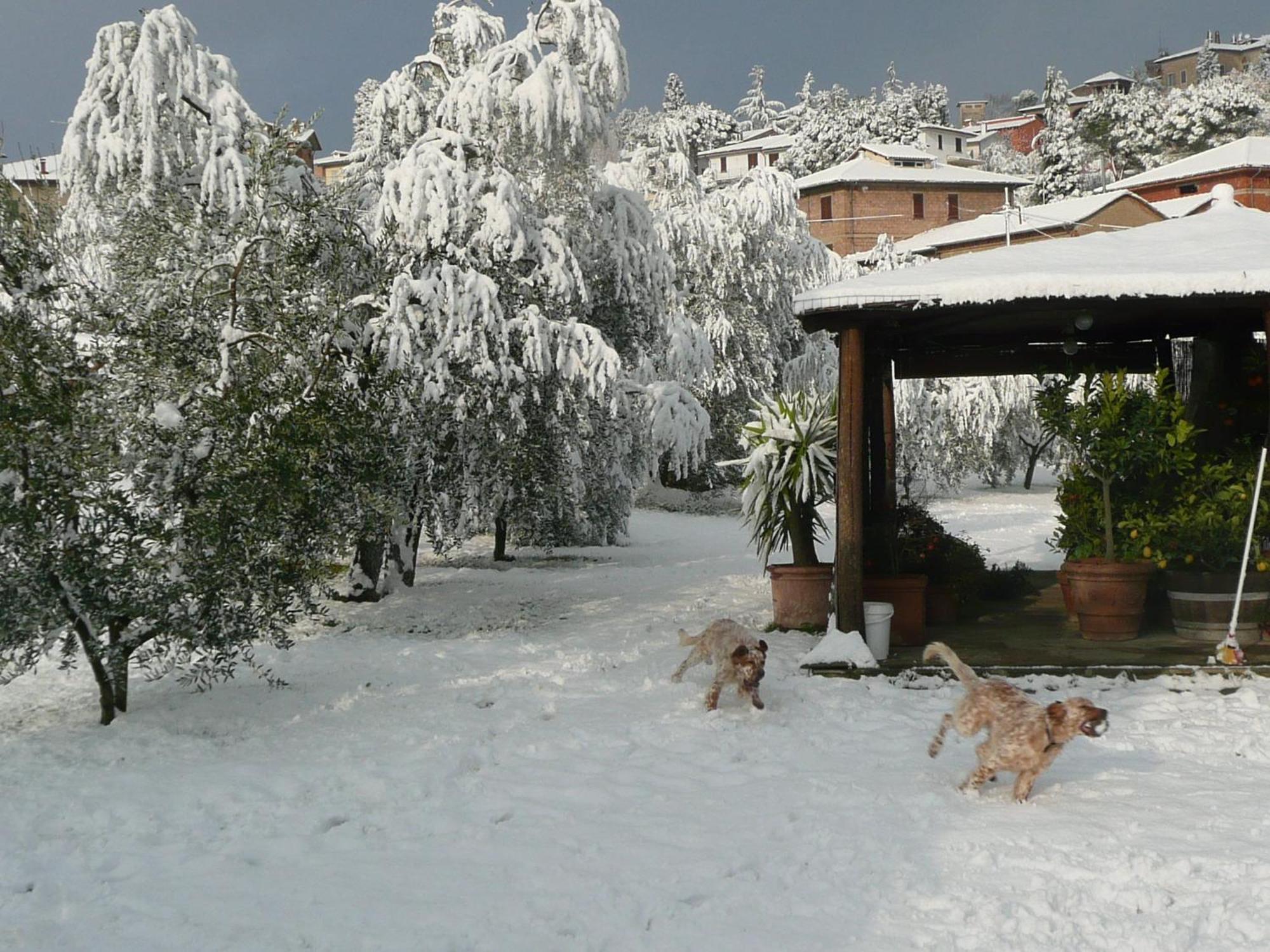 Bed and Breakfast Il Baraccotto Лучиньяно Экстерьер фото